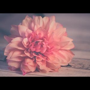 Meet your Posher, Laken